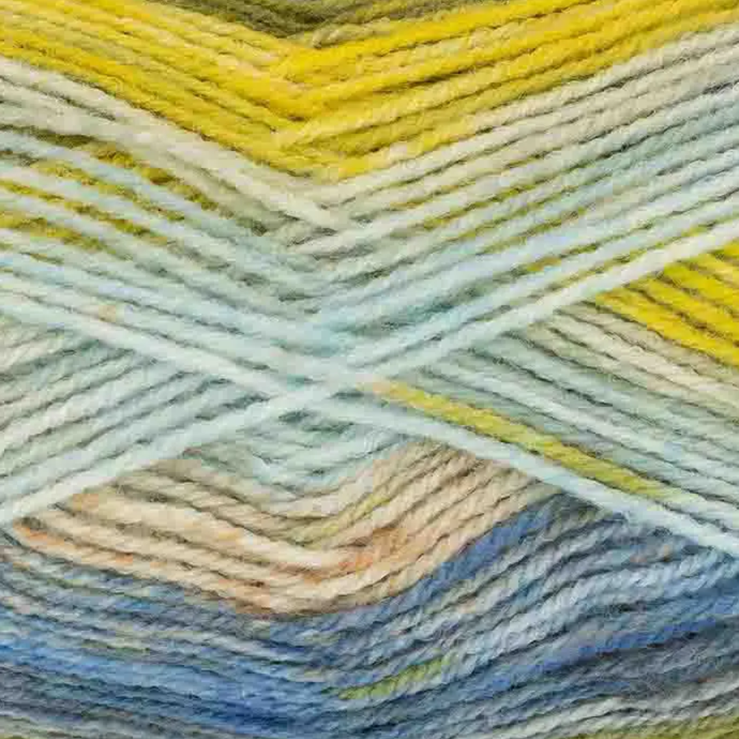 King Cole Bramble Double Knit Yarn 100g