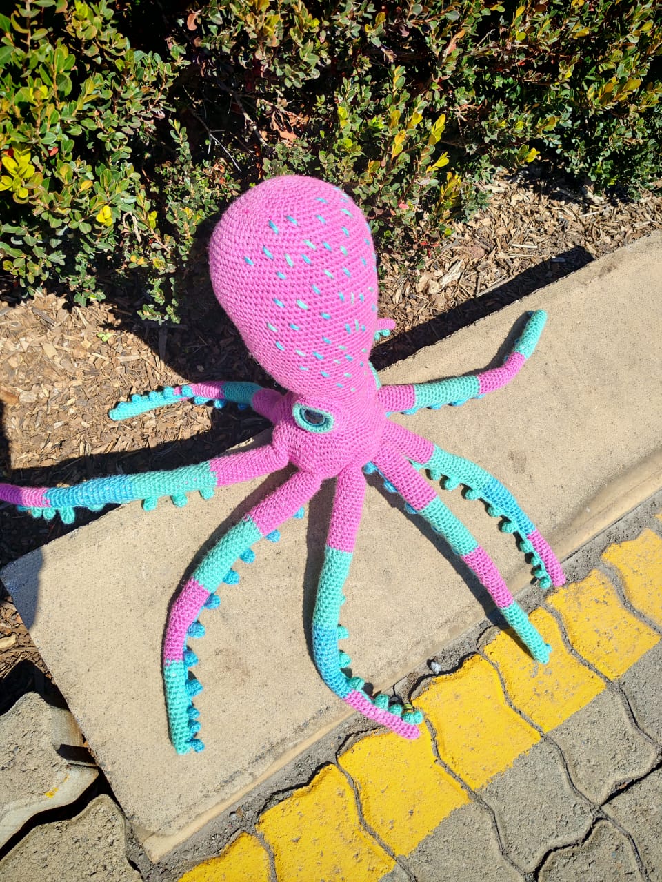 Mrs Octopus