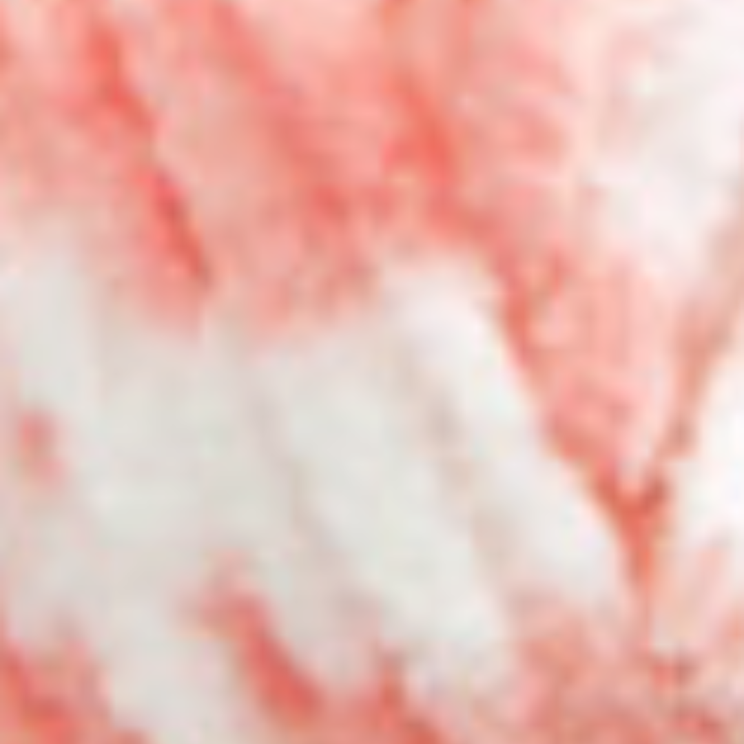 HIMALAYA DOLPHIN BABY COLORS