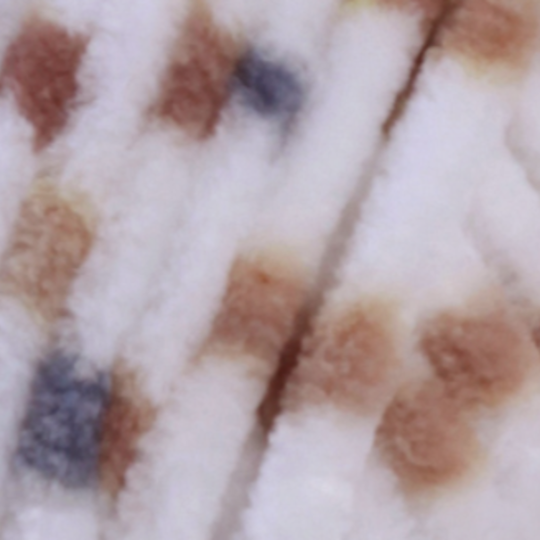HIMALAYA DOLPHIN BABY COLORS