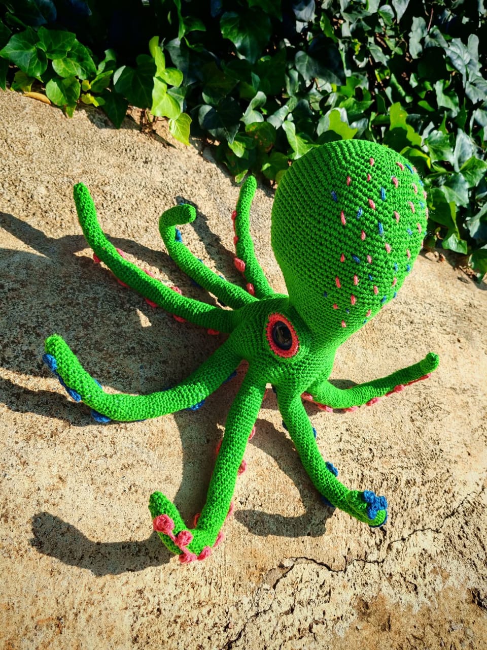 Mr Octopus