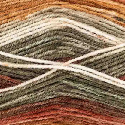 King Cole Bramble Double Knit Yarn 100g