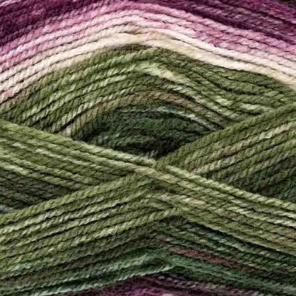 King Cole Bramble Double Knit Yarn 100g