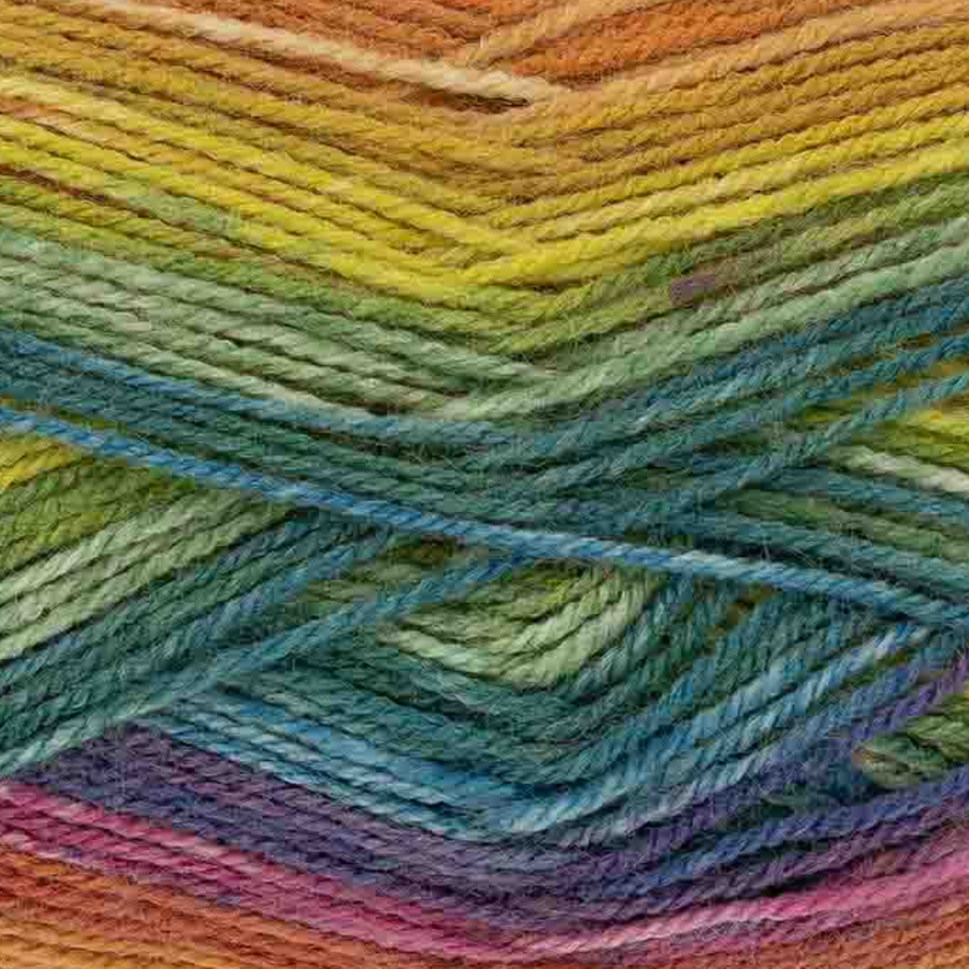 King Cole Bramble Double Knit Yarn 100g