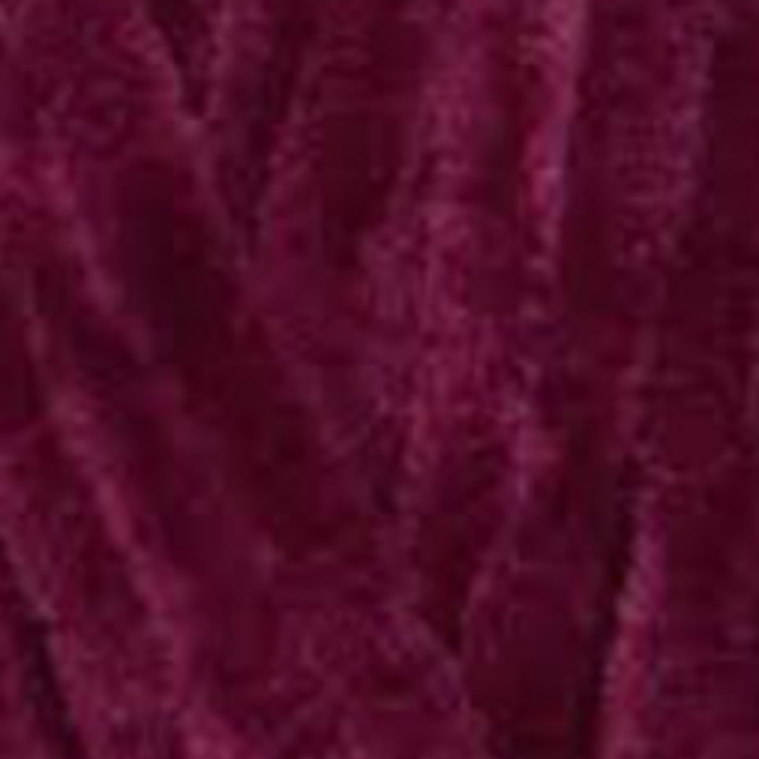 HIMALAYA DOLPHIN BABY